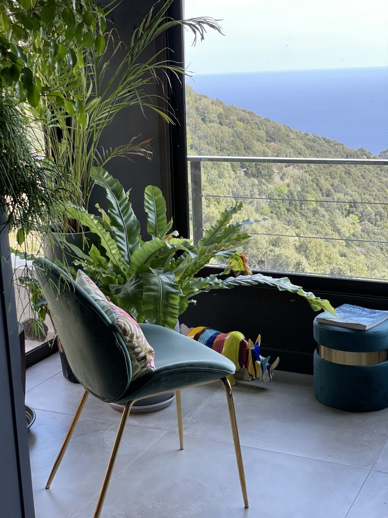 salon d'hiver dans la véranda traité comme un jardin d'hiver