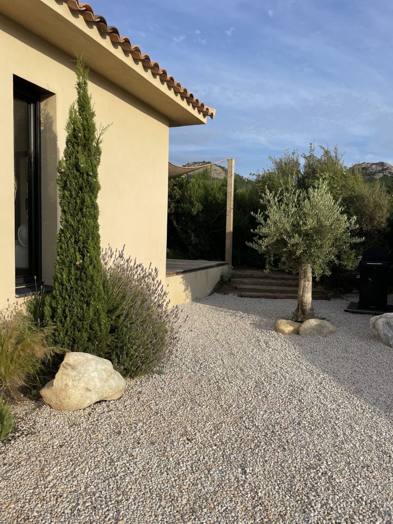 Vue du jardin du projet La Villa Geneviève avec un majestueux olivier entouré d'aménagements paysagers soignés, traverses de chemin de fer, grands rochers et végétation méditerranéenne, créant un cadre naturel et harmonieux.