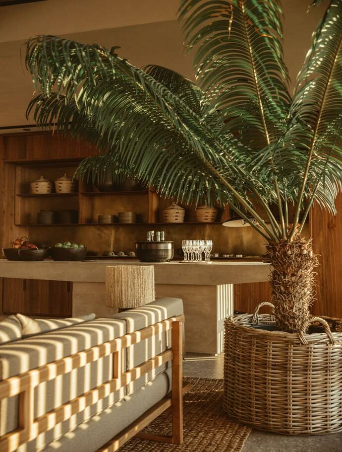 Cuisine d'été à l'ambiance exotique avec un grand palmier en décor central du mobilier en bois naturel et des tonalités chaleureuses de terre cuite qui évoquent les paysages tropicaux