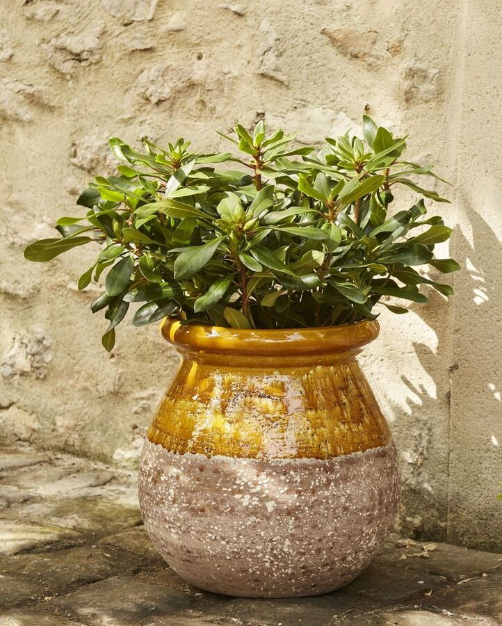 Genre méditerranéenne dans des tons neutres avec un traitement de couleur jaune