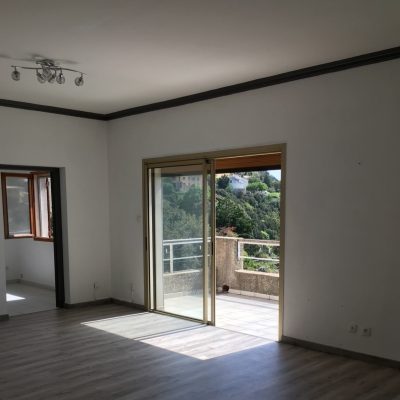 vue de l'existant du salon